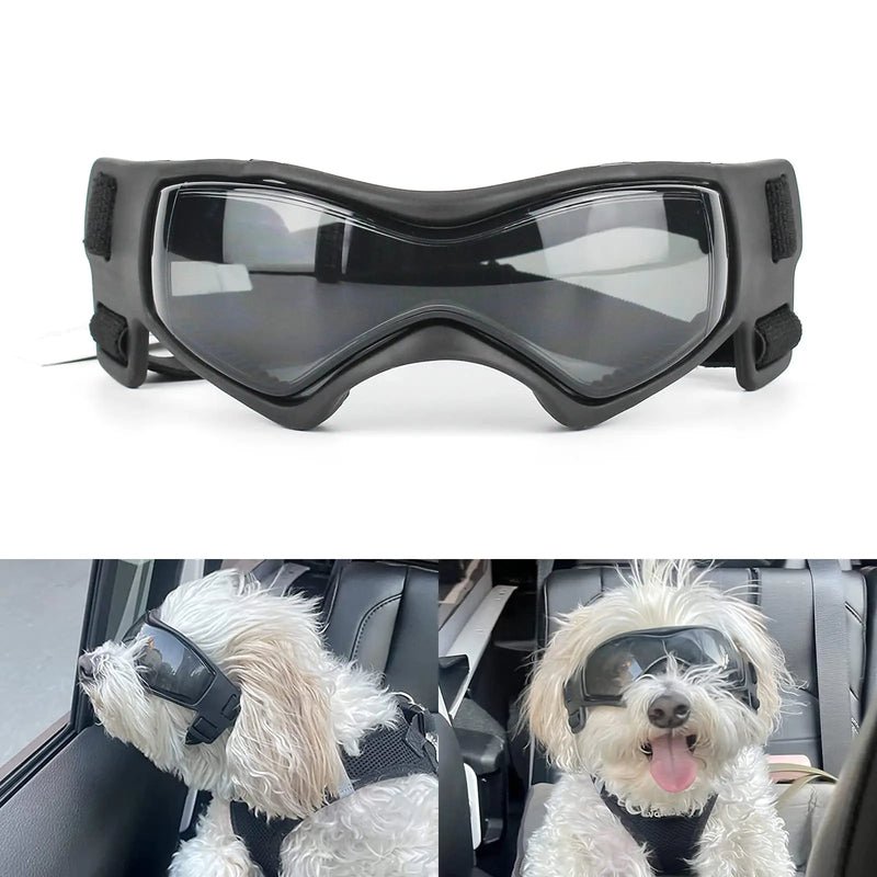 Dog Goggles