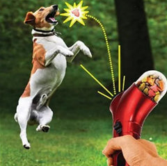 Dog Toy Feeder